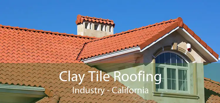 Clay Tile Roofing Industry - California