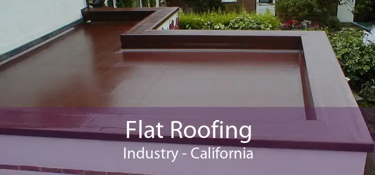 Flat Roofing Industry - California