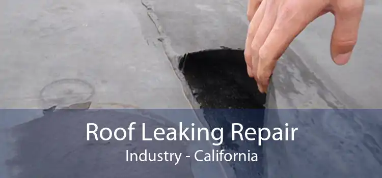 Roof Leaking Repair Industry - California