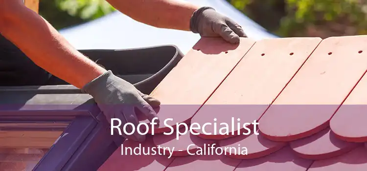 Roof Specialist Industry - California