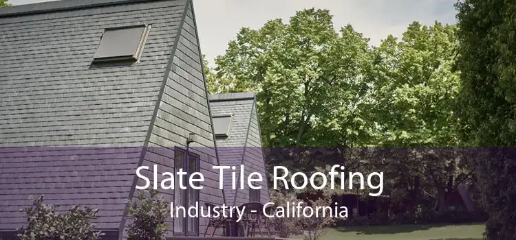 Slate Tile Roofing Industry - California