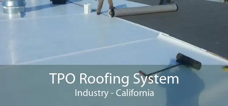 TPO Roofing System Industry - California