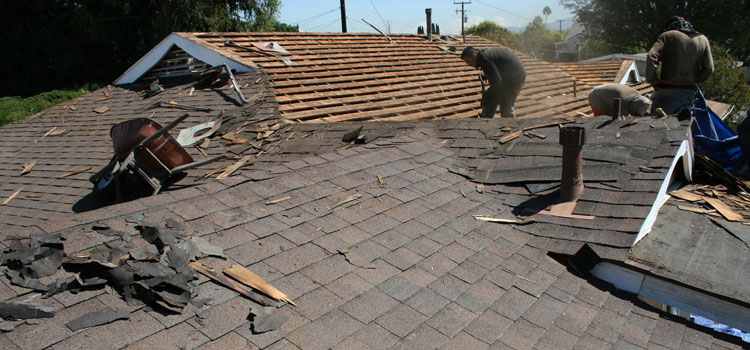 Asphalt Shingle Roofing Repair Industry